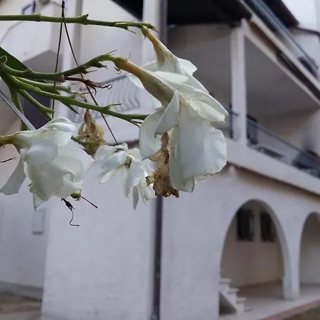 Mascagni Casa vacanze Porto Garibaldi